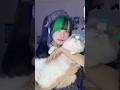 私の話し相手🐱「ソウナンダー」