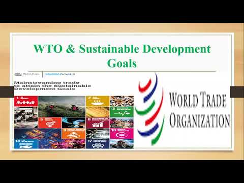 Video: Hva Gjør WTO
