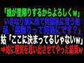 【スカッとする話】「娘が里帰りするからよろしくｗ」いきなり家に来て突然私に言う姑。私「里帰りって何処にです？」姑「ここに決まってるじゃないｗ」➡姑に現実を思い出させてやった結果