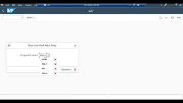 Sap FICO - Variant, Chart of account overview