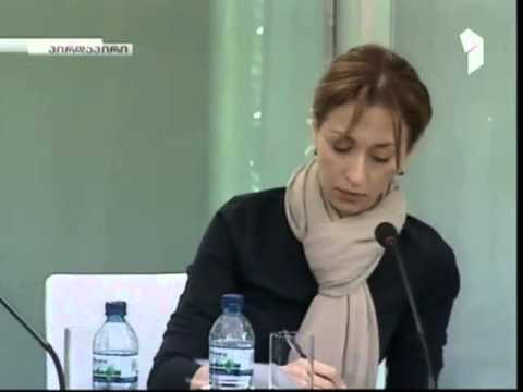 ივანიშვილი ოფშორული კომპანიების გამოყენებას ნორმალურად მიიჩნევს