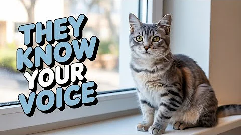 Cats Recognize Their Names… They Just Choose to Ignore You! 😼✨