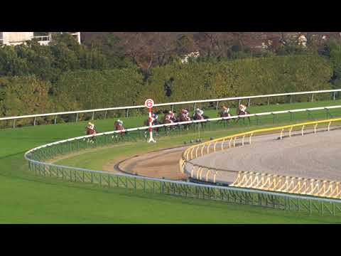 イクイノックス×ルメール 東京スポーツ杯2歳S 2021年11月20日 東京競馬場