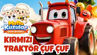 Kırmızı Traktör Çuf Çuf 🚜 Eğlenceli Çiftlik Ve Taşıt Şarkısı Mutlu Kuzular 🐑