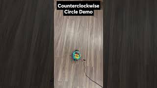 Lily∞Bot Movements with Raspberry  Pi Pico W #LilyBot #RaspberryPiPicoW #NoireSTEMinist #Robotics