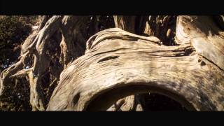 A Breath Of Fresh Air In Our Lifes - Canary Islands