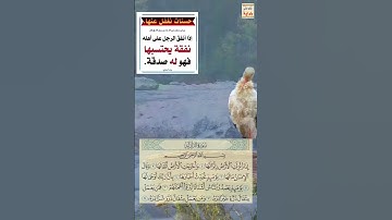 القرآن الكريم. سورة الزلزلة. سعود الشريم
