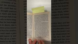 Hatchet Chapter 4
