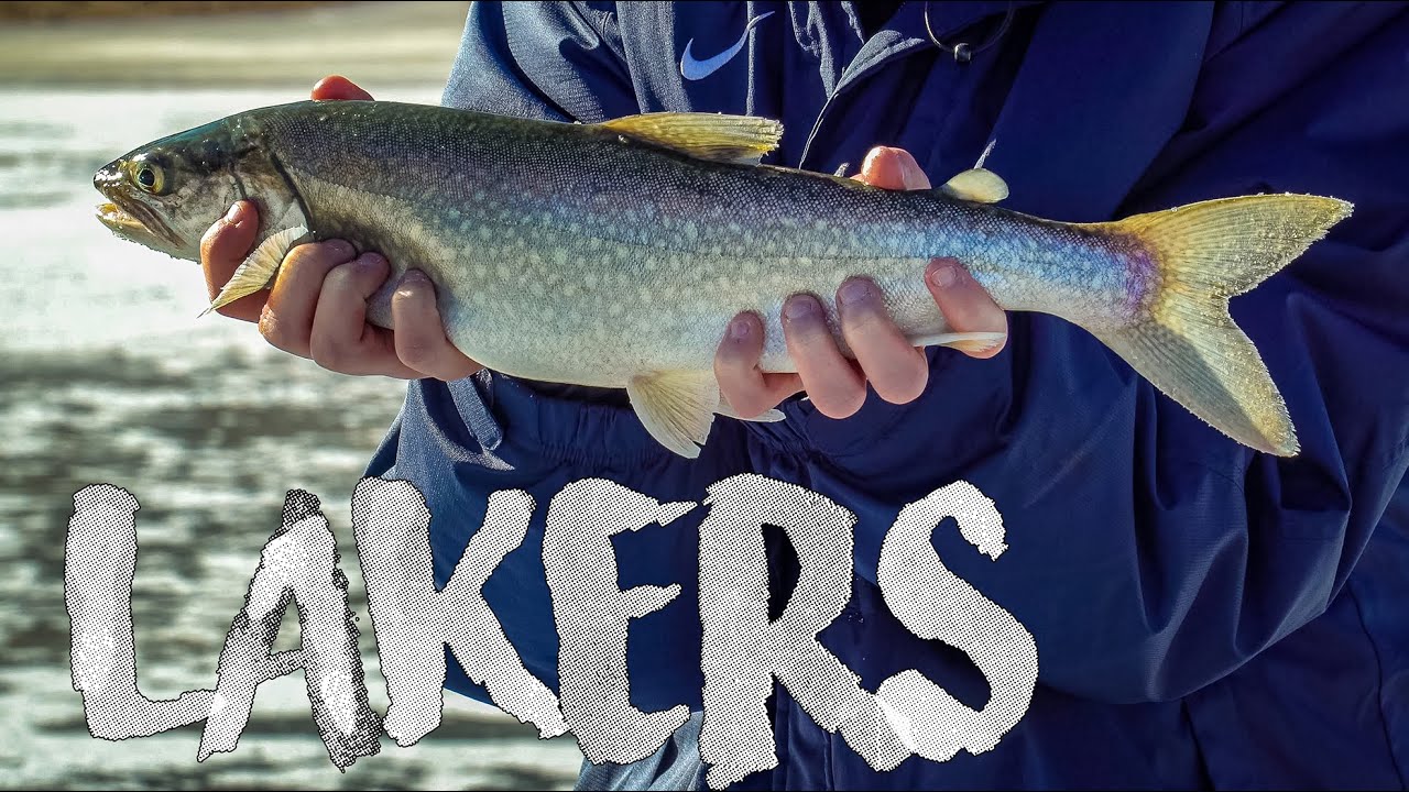 Ice Fishing For Lake Trout! (Colorado) YouTube