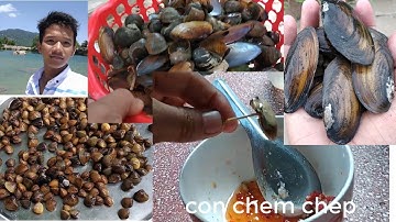 SỐNG HÒA HỢP VỚI THIÊN NHIÊN - BẮT ỐC, CUA, HẾN, CHEM CHÉP ( MIỀN TÂY SÔNG NƯỚC) || Gạch Hong Vlog