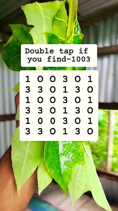 Double tap if you find '1003 #search #puzzle #shorts