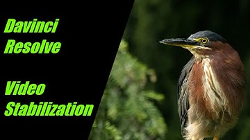 Master Davinci Resolve - Tips for Adding Video Stabilization