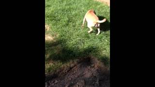 Trim B05F6138 45E7 47A2 87C7 F74Ea786Ae34