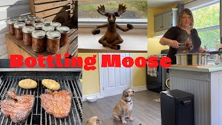 Bottling Some Newfoundland Moose - Grilling A Couple Moose Steaks - Making Treats for the Doggies !