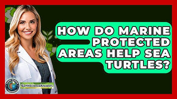 How Do Marine Protected Areas Help Sea Turtles? - Earth Science Answers