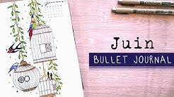 Bullet Journal Juin 2020 | ORGANISATION