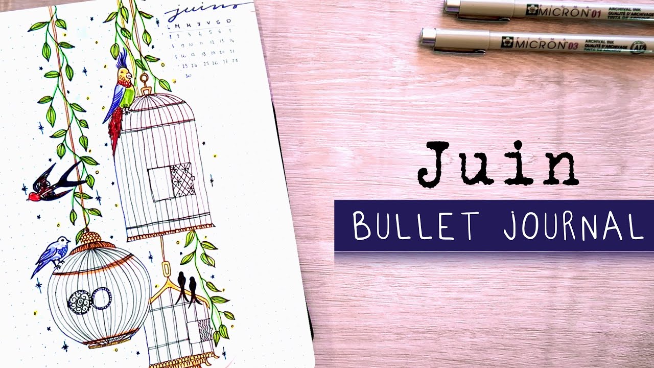 Bullet Journal Juin 2020 | ORGANISATION - YouTube