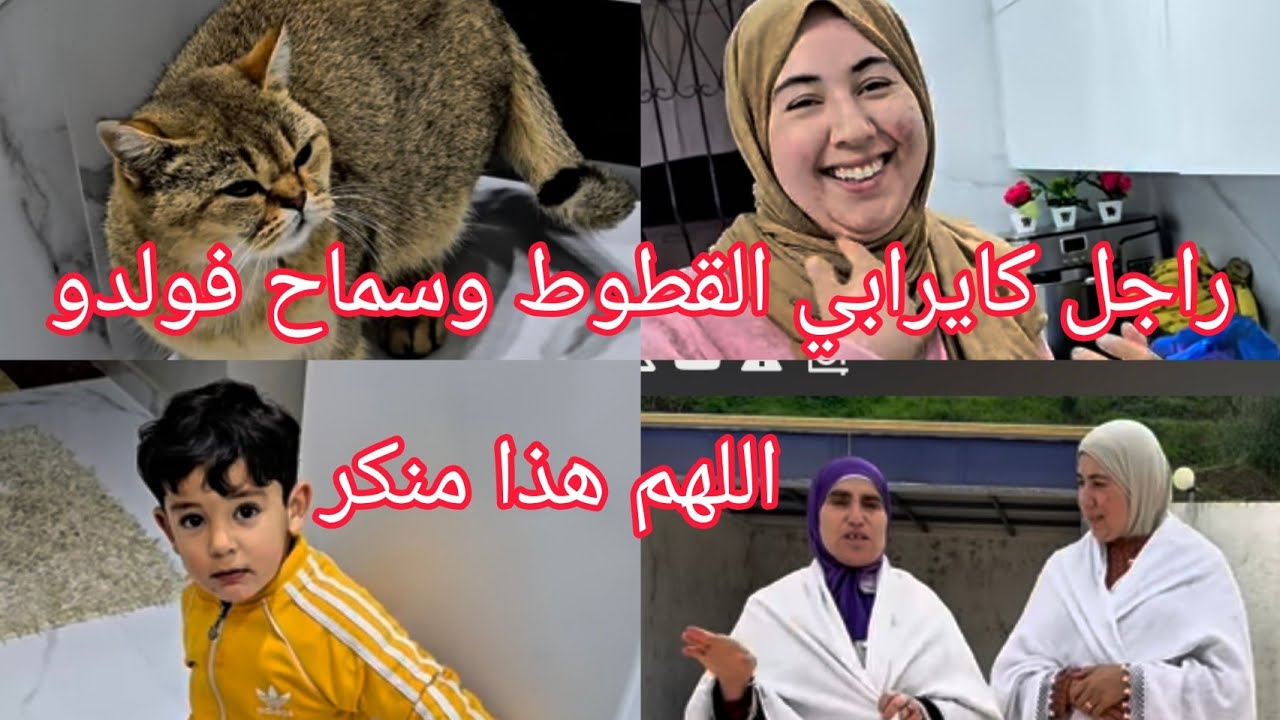 فضيحة🚨يا ودي يا كل راع مسؤول عن راعيته🤔سمحلي أ علي ووصال رجعتو غير كتخربقو😱 #wissal_ali #وصال_وعلي 