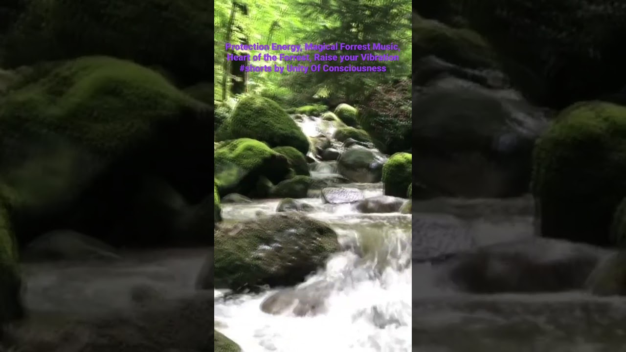 Protection Energy | Magical Forrest Music | Heart of the Forrest | Raise your Vibration 