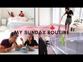 My Sunday Routine- Weekend Chores, Grocery| Before Quarantine| Toronto, Canada