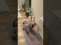 ぽっこりお腹撃退#ダイエット