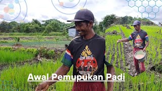 AKTIFITAS PAK WANI AWAL PUASA RAMADHAN 