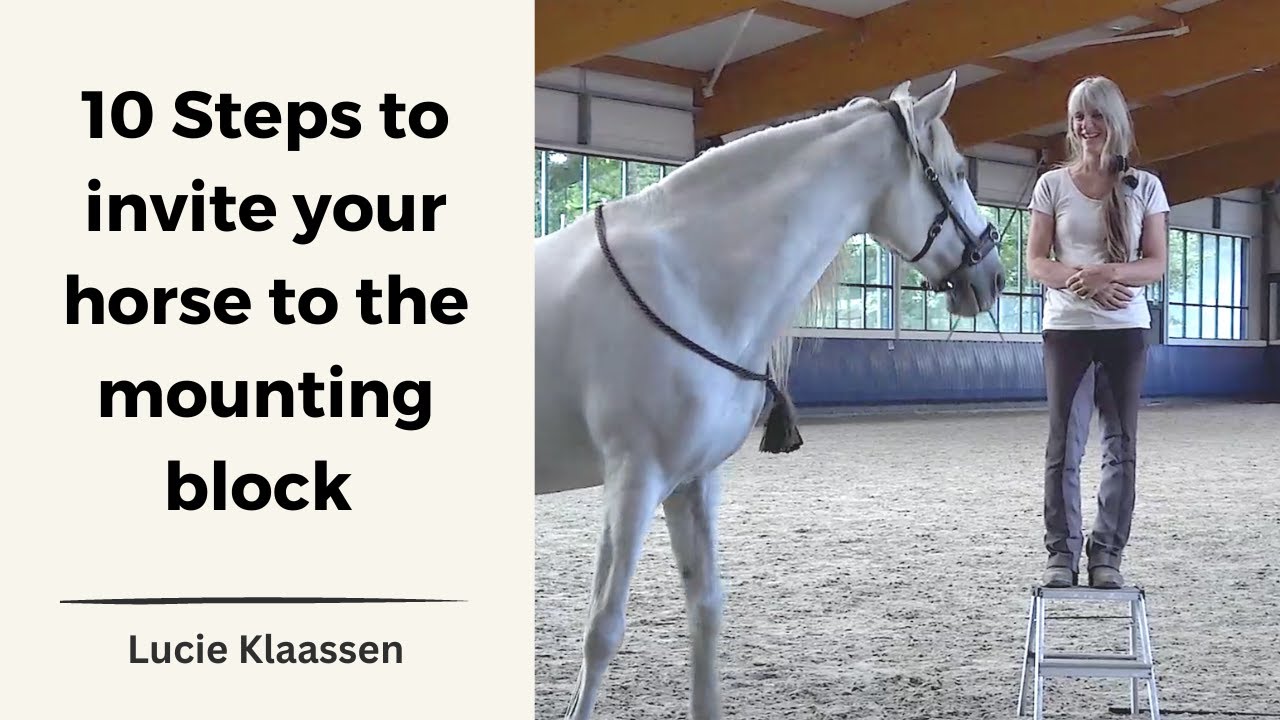 Teaching A Horse To Stand Still While Mounting 10 Steps To Prepare teaching-a-horse-to-stand-still-while-mounting-10-steps-to-prepare