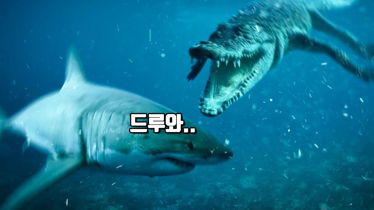 참치를 즐겨먹던 악어의 끔찍한 결말