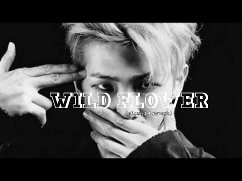 RM 'Wild Flower (with youjeen' [slowed+reverb]