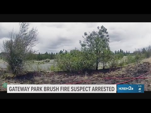 Man arrested for allegedly starting brush fire along Centennial Trail ...