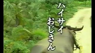 ハイサイおじさん - YouTube