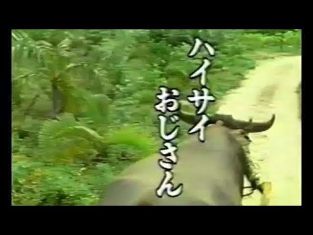 ハイサイおじさん - YouTube