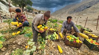 🌧️ Harvesting Organic Produce in the Rain… Then an Unexpected Nomad Visit!