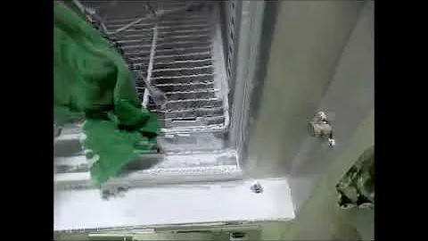 Phistek P104xx IP54 Test Video