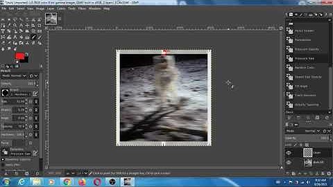 I have tested Grape interlacing software (and SuperFlip too) for 3d lenticular printing.