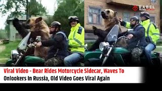 Russian Bear Rides Motorcycle Sidecar, Waving to Spectators - Viral Video Resurfaces