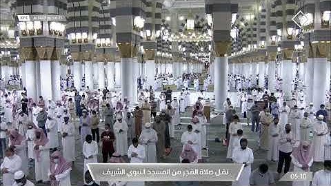 فجر الخميس 25-1-1443هـ سورة القلم | للشيخ أحمد بن طالب بن حميد
