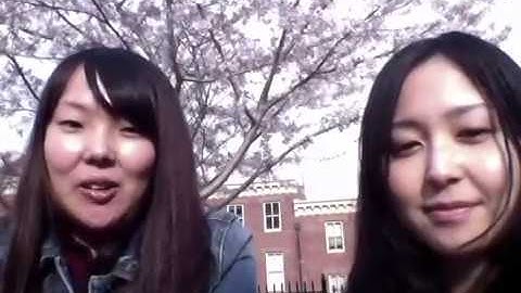 Japanese Students Reflect on MSFS