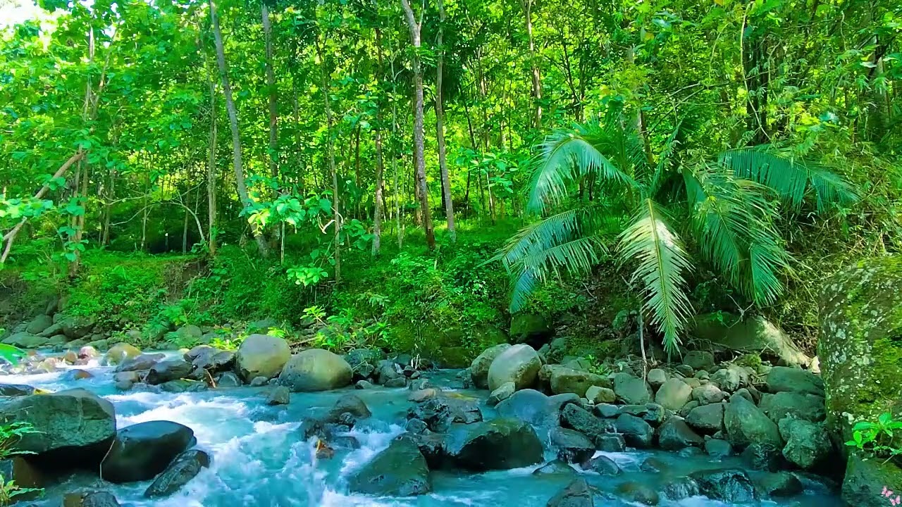 Nature Sound |  Relaxing River Sounds- Peaceful Forest River