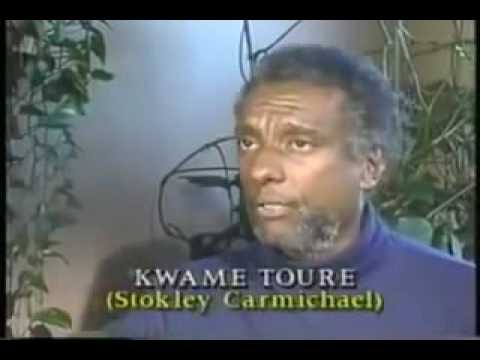 COINTELPRO: The FBI's War on Black America