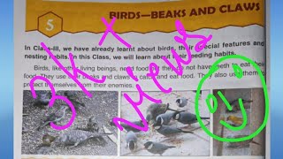 Dav Class -4 Ch-5 Birds (Beaks and Claws) Explanation Part -1