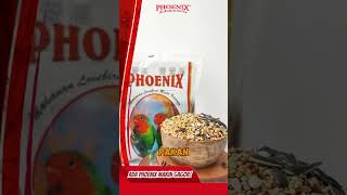 Kelihatannya sederhana, tapi masih banyak yang melupakan dua hal penting ini. #lovebird
