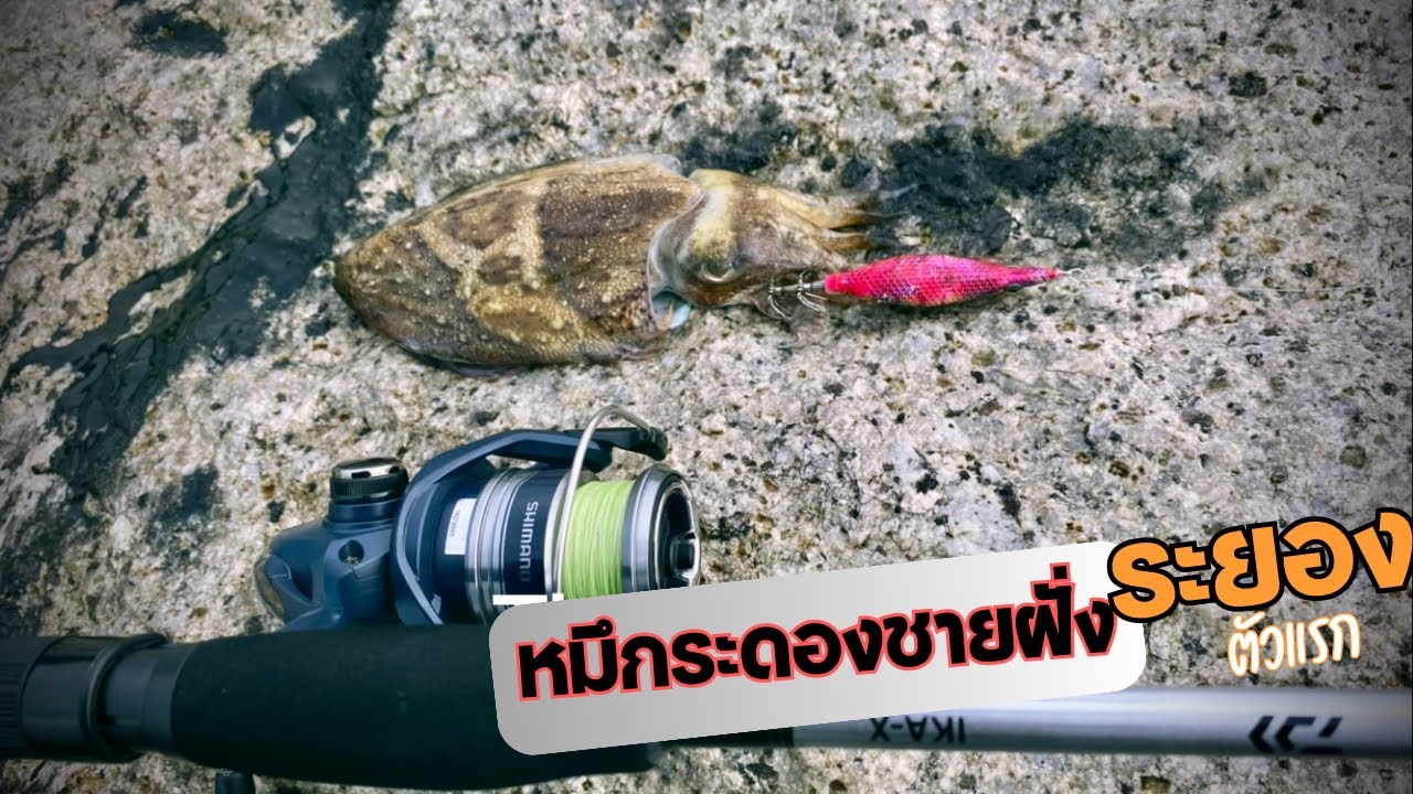 ตกหมึก ชายฝั่งระยอง หาดแสงจันทร์ อากาศตอนเช้าดีมากคับ squid fishing