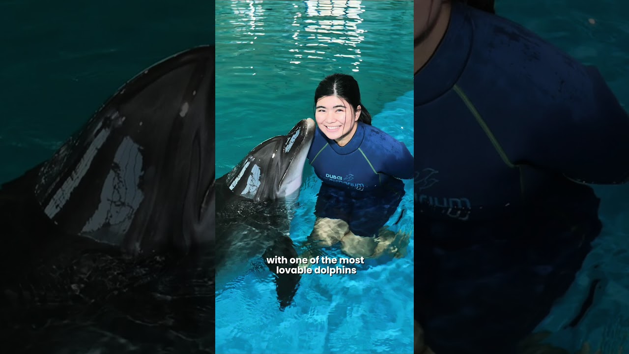 FUN? AI knows HOW! | Dubai Dolphinarium