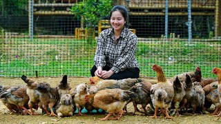 Does Helping a Poor Girl Change Her Life Forever?