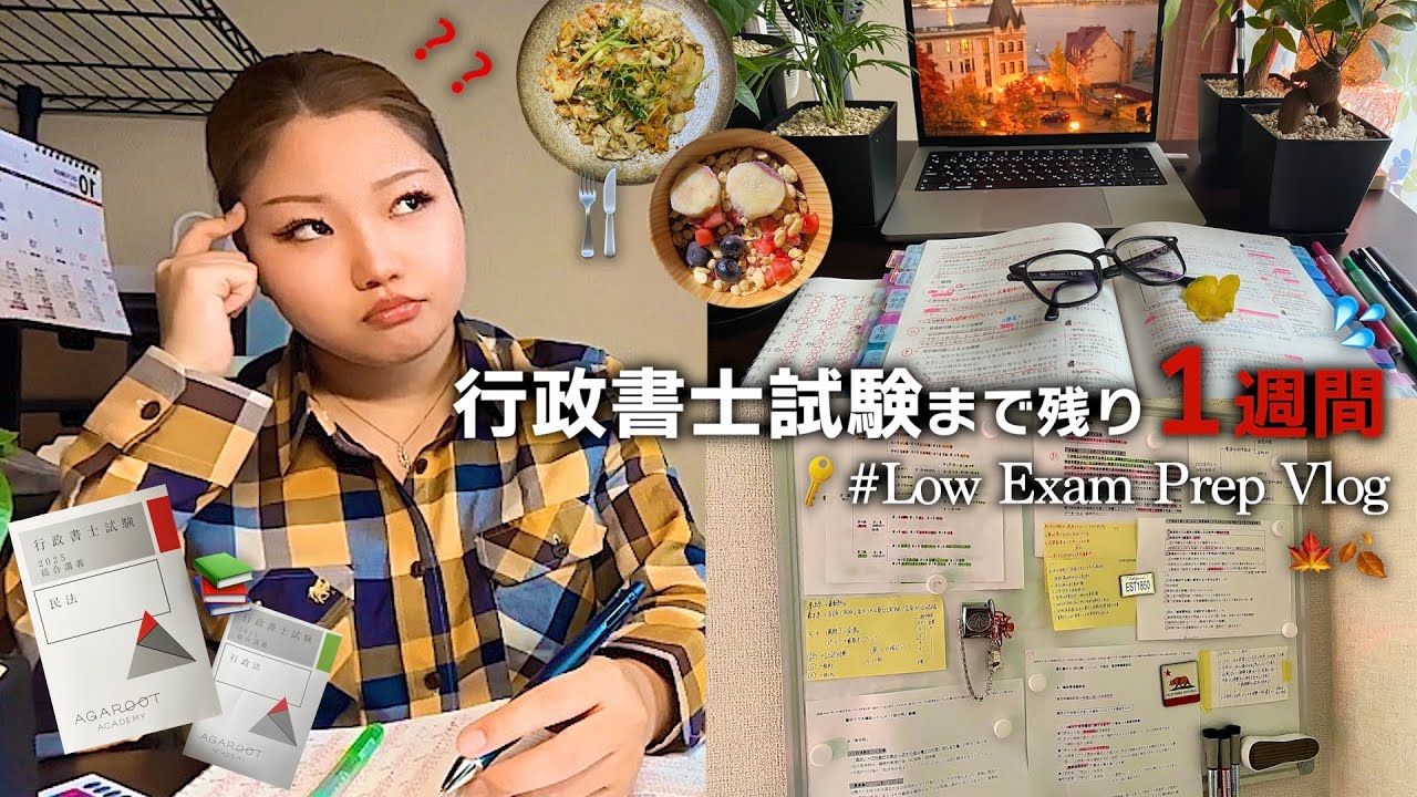 【行政書士試験まで残り１週間】合格する気で勉強する直前期vlog