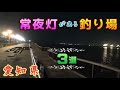 常夜灯公園の釣り場紹介／シーバスのルアー釣り&クロダイ釣り／衣浦周辺・夜釣り愛知県