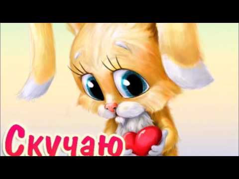 Картинки котик скучает по зайке, металлурга картинках