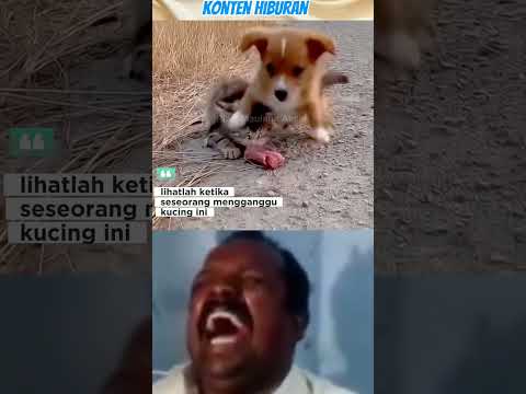 أوجي شديد الحماية مضحك فيديو قصير 