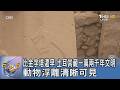 比金字塔還早 土耳其藏一萬兩千年文明 動物浮雕清晰可見｜FOCUS午間新聞 20260807 @tvbsfocus